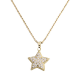 Hawaii's Crystal Starfish